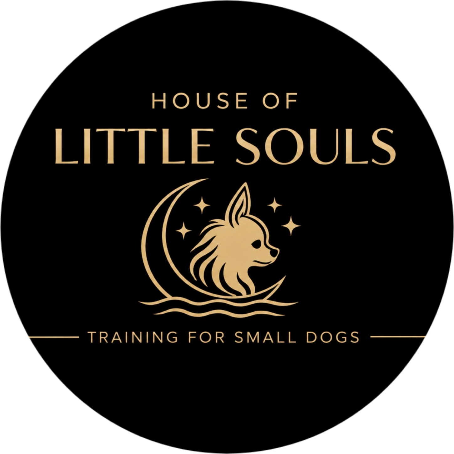 House of Little Souls — Hundetraining und Chihuahua-Zucht in Mondsee