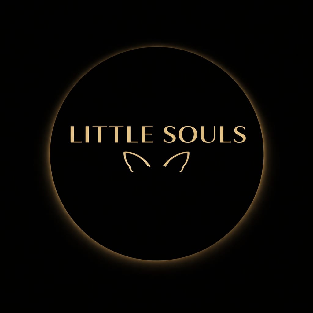 House of Little Souls